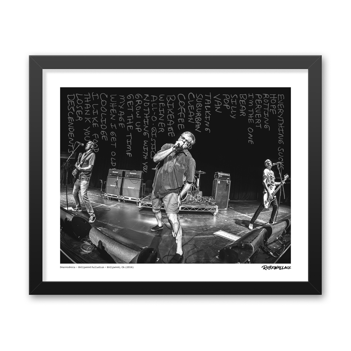 Photo by Rob Wallace: Descendents performing live on stage at the Hollywood Palladium in Los Angeles, CA in 2016.